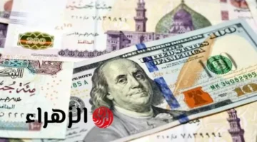 تحركات سعر الصرف.. استقرار الدولار في مصر وسط ترقب الأسواق لنتائج العرض والطلب